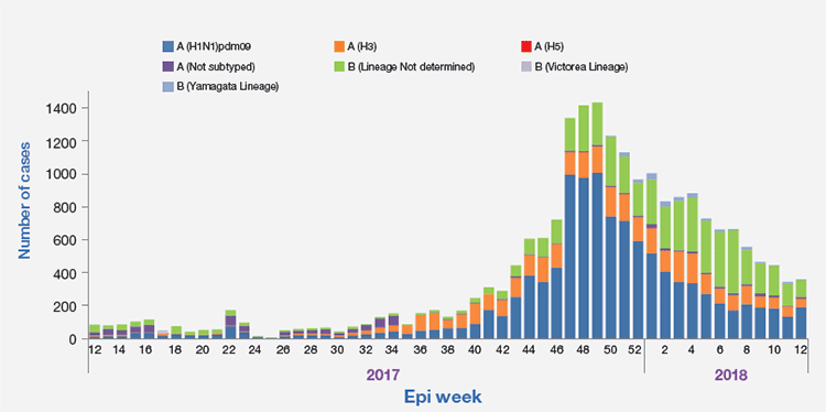 Figure 2. Positive cases of influenza by subtype, Epi week 12/2017–2018
