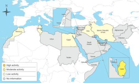 Map of influenza activity in WHO Eastern Mediterranean region in February 2017