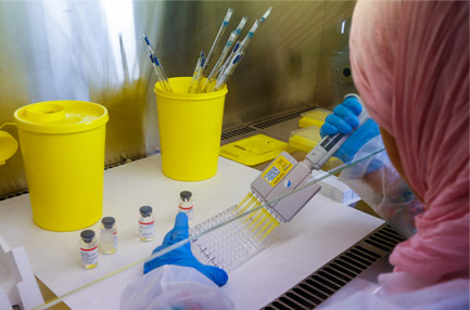Laboratory technician identifies the type of virus using WHO standard influenza kits during influenza virus identification workshop held from 31 October to 2 November in Rabat, Morocco