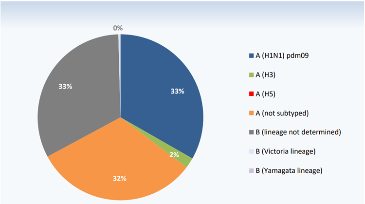 Circulating influenza viruses by sub-type