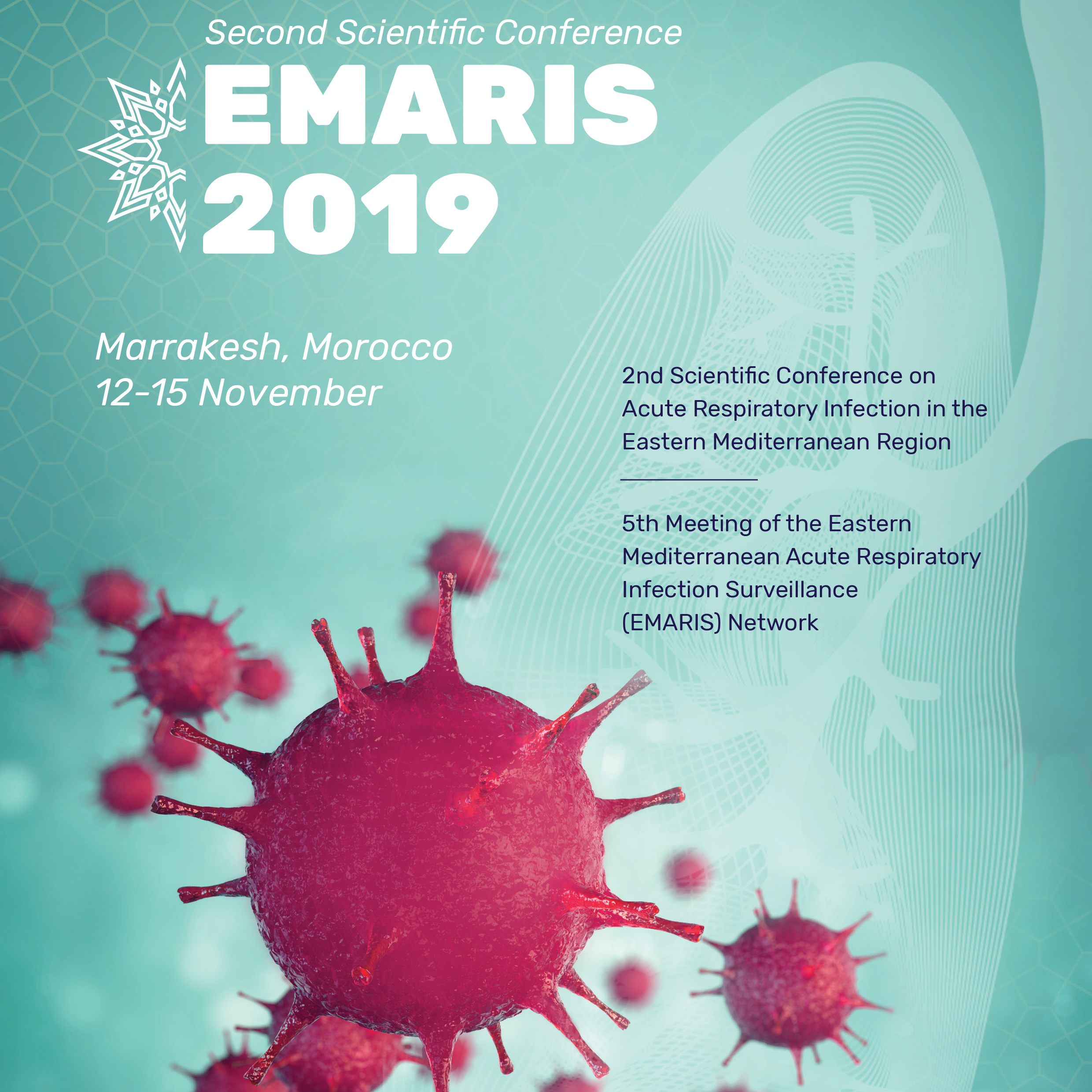 Opening soon: abstract submission process for Second Scientific Conference - EMARIS 2019