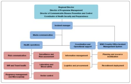 Organogram