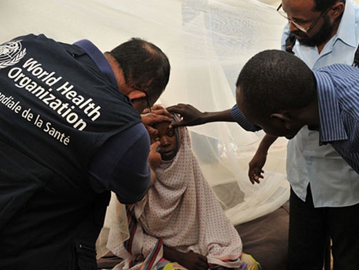 Yellow fever in Sudan: Helping stop the spread In October 2012, the Federal Ministry of Health in Sudan informed WHO of a yellow fever outbreak in Darfur that turned out to be the largest epidemic reported in Africa in the last two decades. By December, a total of 849 suspected cases, including 171 deaths, had been reported. To help minimize the spread of the disease, the Regional Office assisted Sudan in conducting field investigations and strengthening epidemic response measures. Surveillance and case management were improved and WHO supported the Ministry in strengthening laboratory diagnosis, entomological assessment and the procurement of vaccines. Over five million people at-risk were vaccinated in an emergency mass immunization campaign conducted in three phases.