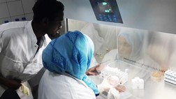 Laboratory technicians working on cholera culture at the Public Health Laboratory in Mogadishu, Somalia