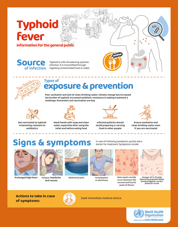 Typhoid posters