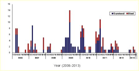 Update on avian influenza in Egypt, March–May 2013