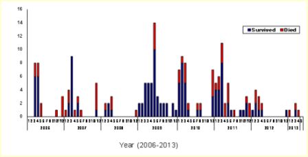 Mise à jour sur la grippe aviaire en Égypte, 2013