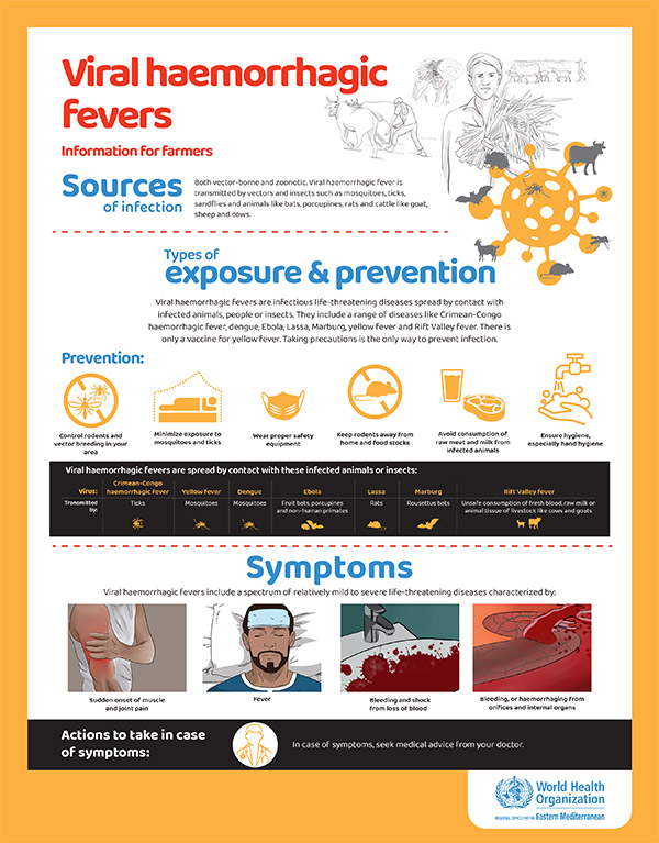 Viral haemorrhagic fevers posters