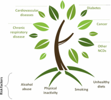 A tree diagram showing the major noncommunicable diseases globally and their risk factors