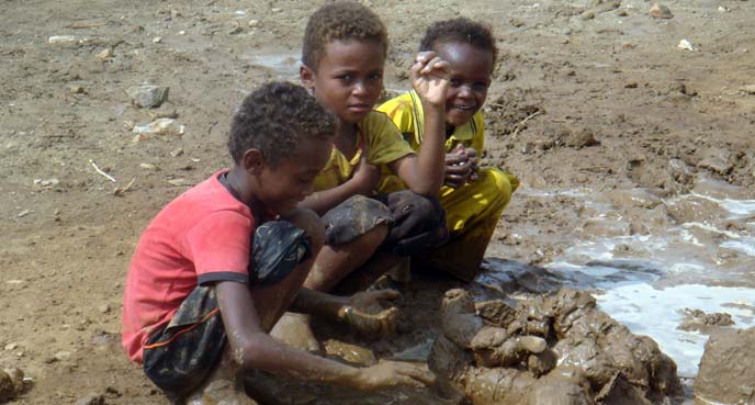 WHO scales up response to control dengue fever in Yemen