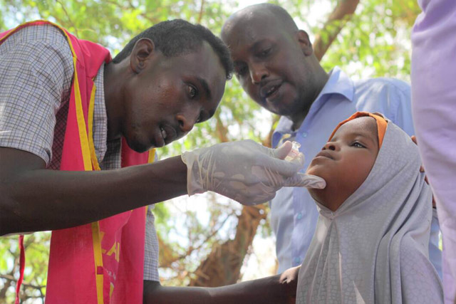 More than 450 000 people were vaccinated in the first round of Somalia’s first national oral cholera vaccination campaign (OCV) in March 2017. The campaign focused on reaching vulnerable people living in 7 high-risk areas around the country and is one of the largest oral cholera vaccination campaigns conducted in Africa. It is the first national OCV campaign to be conducted in the country.