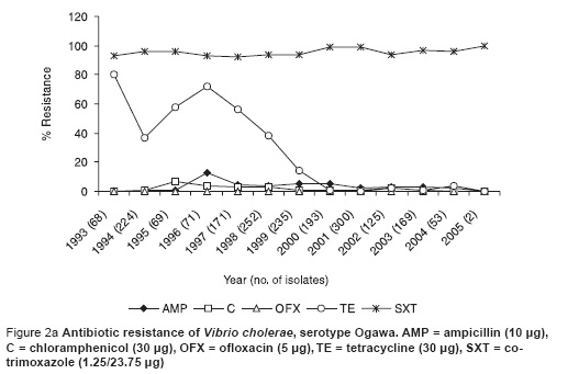 Figure 2a Antibiotic resistance of Vibrio cholerae, serotype Ogawa. AMP = ampicillin (10 μg), C = chloramphenicol (30 μg), OFX = ofloxacin (5 μg), TE = tetracycline (30 μg), SXT = co-trimoxazole (1.25/23.75 μg)