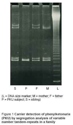 Figure 1 Carrier detection of phenylketonuria  (PKU) by segregation analysis of variable  number tandem-repeats in a family