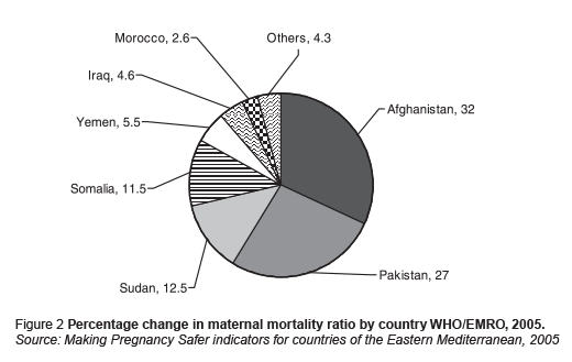 Figure 2 Percentage change in maternal mortality ratio by country WHO/EMRO, 2005. Source: Making Pregnancy Safer indicators for countries of the Eastern Mediterranean, 2005