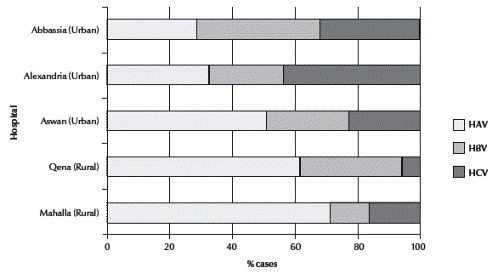 Figure 2 Distribution of cases of acute viral hepatitis recorded at the 5 hepatitis sentinel surveillance hospitals, Egypt, January 2001 to June 2004