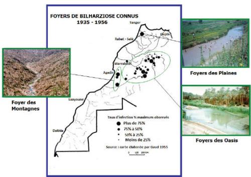 Figure 1 Première carte de la schistosomiase au Maroc 