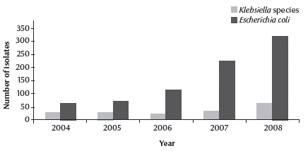 Figure 1 Total number of extended spectrum of beta-lactamase (ESBL)-producing isolates of Escherichia coli and Klebsiella spp. out of total ESBL isolates from a tertiary referral hospital in Al Ain for 2004–08