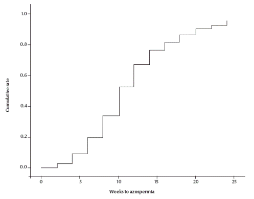 Figure 1 Gross cumulative life table probabilities for azoospermia after no-scalpel vasectomy by ligation and excision with fascial interposition (n = 334)