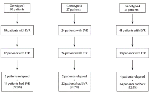 Figure 1 Virological response of patients with hepatitis C virus infection by genotype