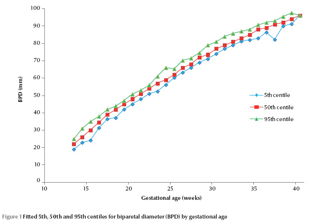 Gestational Size Chart Percentile