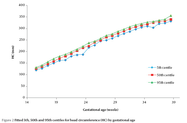 Gestational Size Chart Percentile