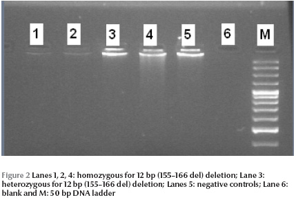 Figure 2 Lanes 1, 2, 4: homozygous for 12 bp (155–166 del) deletion; Lane 3: