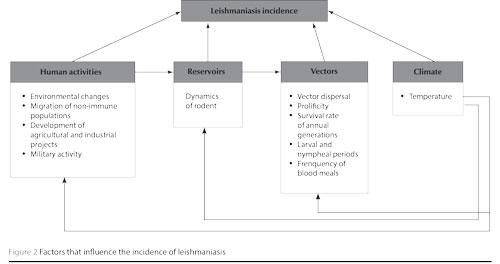 Figure 2 Factors that influence the incidence of leishmaniasis