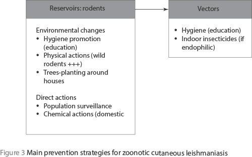 Figure 3 Main prevention strategies for zoonotic cutaneous leishmaniasis