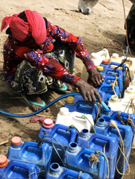 Plastic containers being filled with a hose