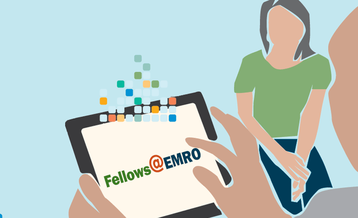 Fellowships@EMRO programme