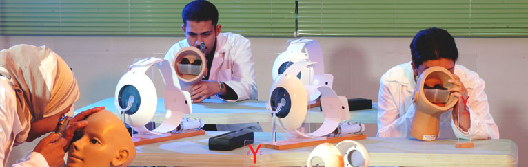 L’image nous montre des étudiants en médecine en train d’examiner le système oculaire sur des mannequins