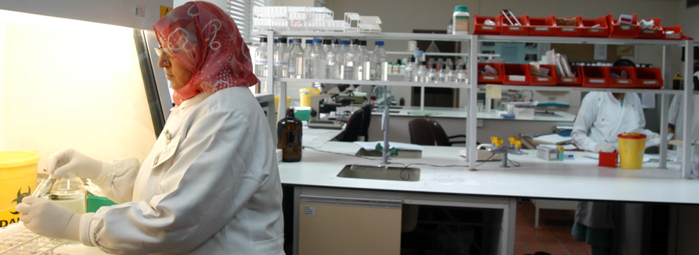 Laboratory in Jordan