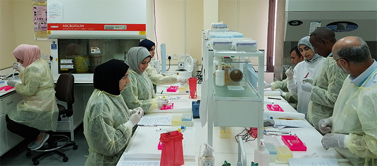 Medical staff working in a laboratory