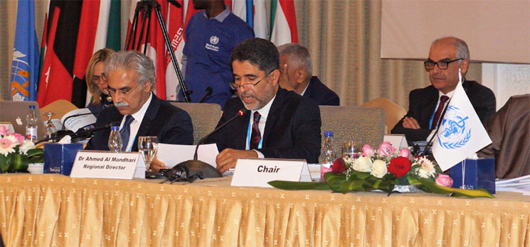 WHO’s Regional Committee discusses regional priorities