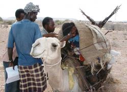 الصومال خالية من شلل الأطفال