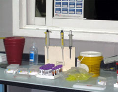 L'image montre un ensemble d'instruments de laboratoire posés sur une table.