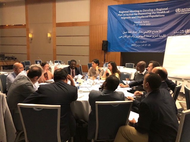 Photo__2-CPI-Migration_and_Health_Workshop-Istanbul-March_2019