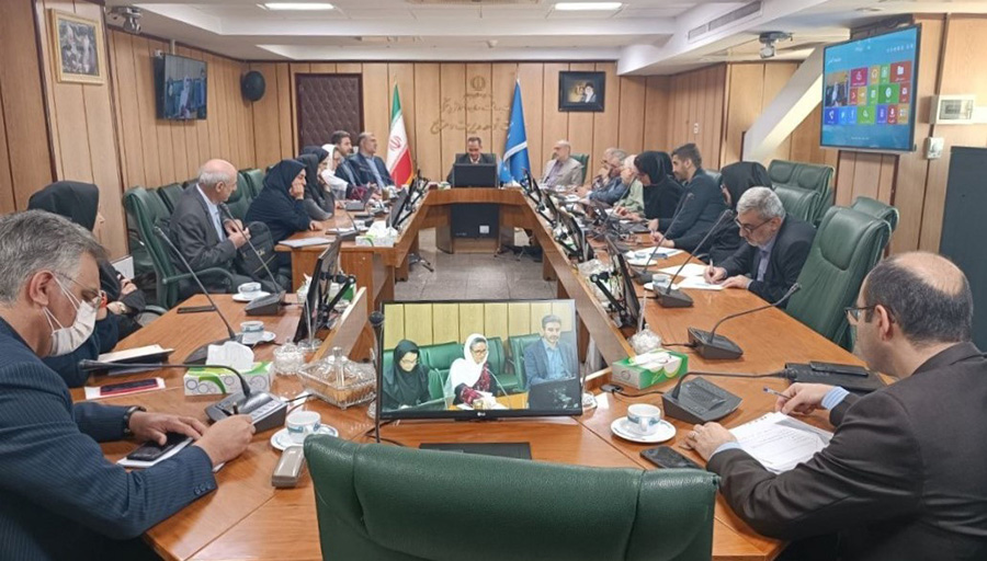 National health authorities and the WHO consultant at the workshop briefing session. Photo credit: WHO/WHO Iran