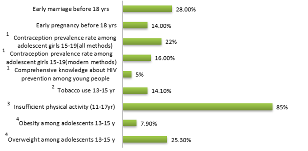 Fig 3.  Adolescent health profile