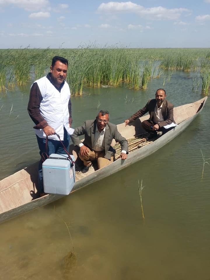 Vaccinators cross marshes by boat in Missan