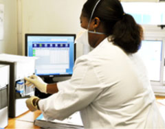 فنية مختبر تحمل عينة بصاق في جهاز لتشخيص داء السل.