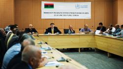 Health system strengthening workshop in Libya