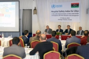 Participants at the Hospital Safety Index workshop