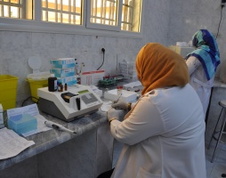 A laboratory technician processing a blood sample 