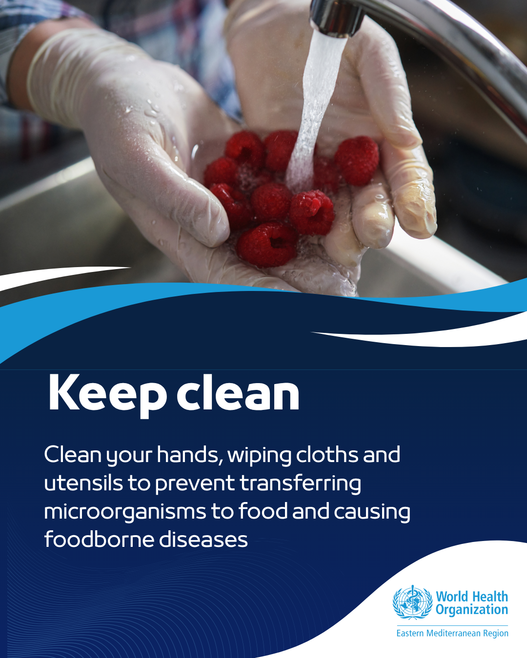 World Food Safety Day 2025: the vital role of science in ensuring safe food