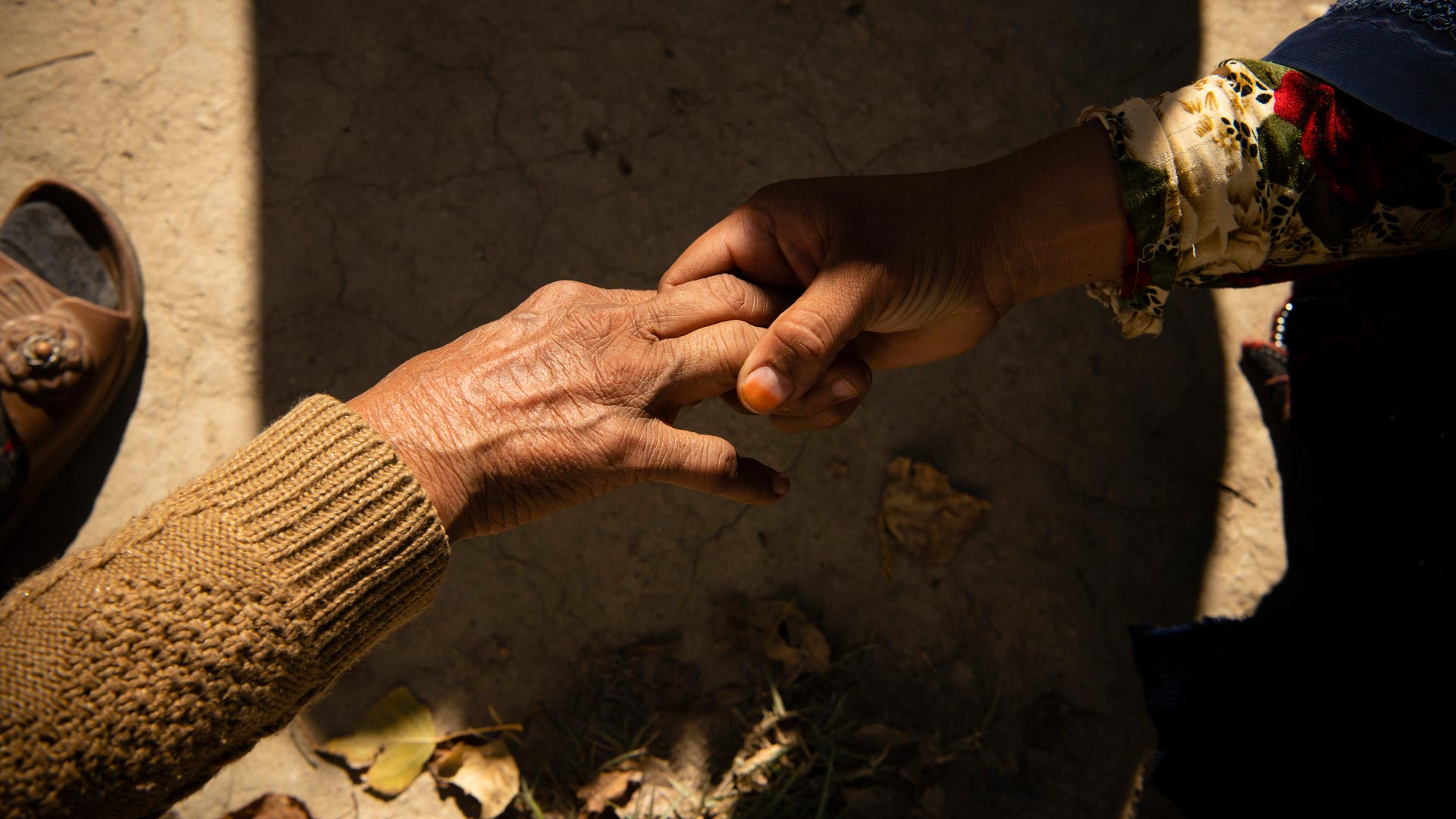 Alzheimer’s and Brain Awareness Month