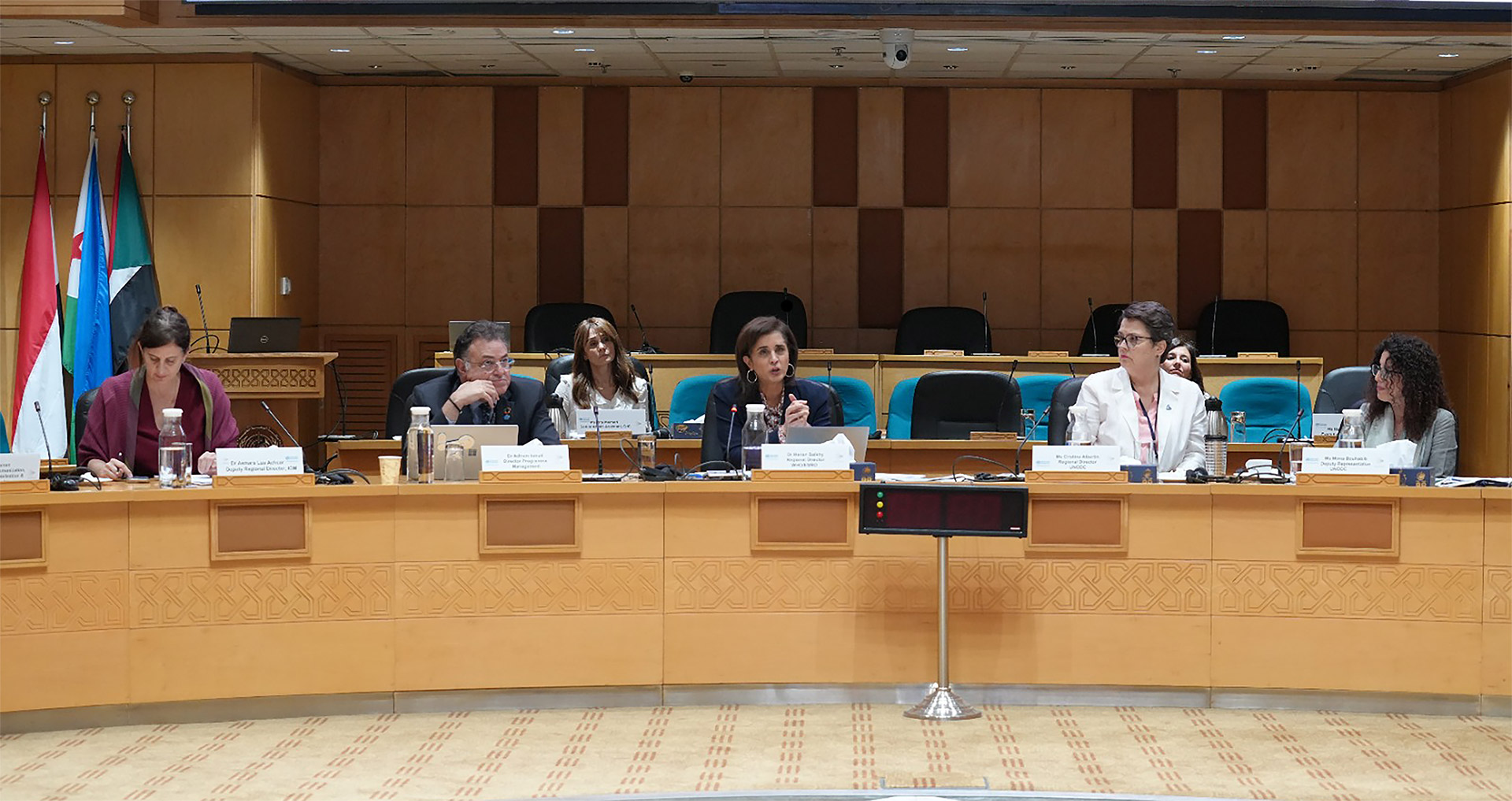 Uniting to tackle substance use in the Eastern Mediterranean Region