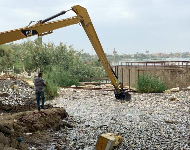 منظمة الصحة العالمية ووزارة الصحة تحققان في النفوق الكبير للأسماك في محافظات العراق الجنوبية