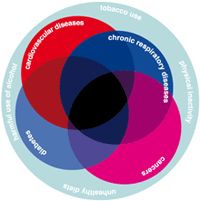 Logo montrant les facteurs de risque contribuant à l'augmentation de la prévalence des maladies non transmissibles