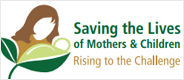 High-level meeting on saving the lives of mothers and children in the Region, 29–30 January 2013